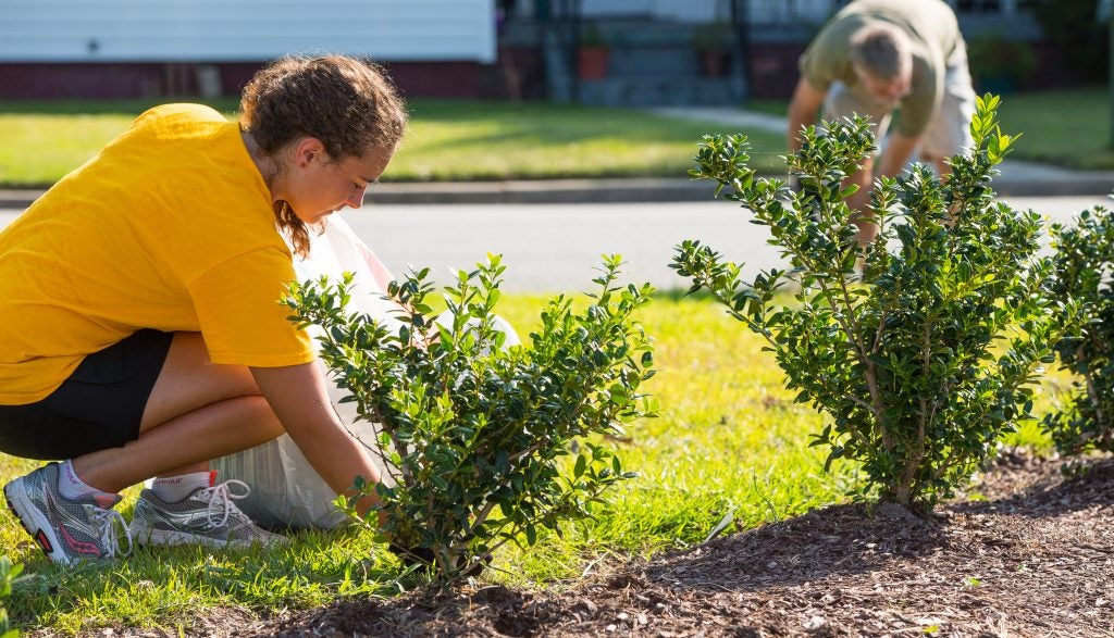 Global Good Social Entreprenuership fellows plant tree.