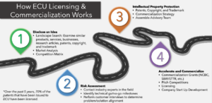 Licensing and Commercialization Roadmap
